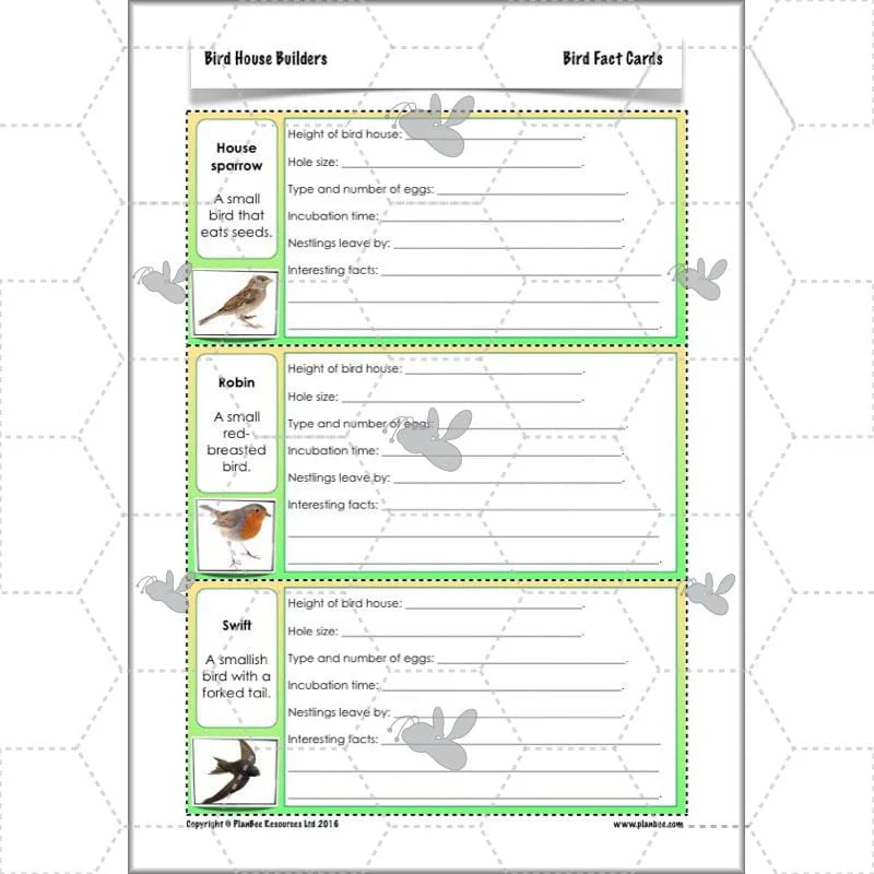 Bird House Builders - Image 28