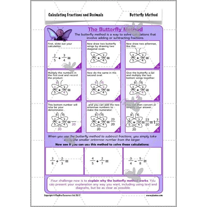 Calculating Fractions and Decimals - Image 41