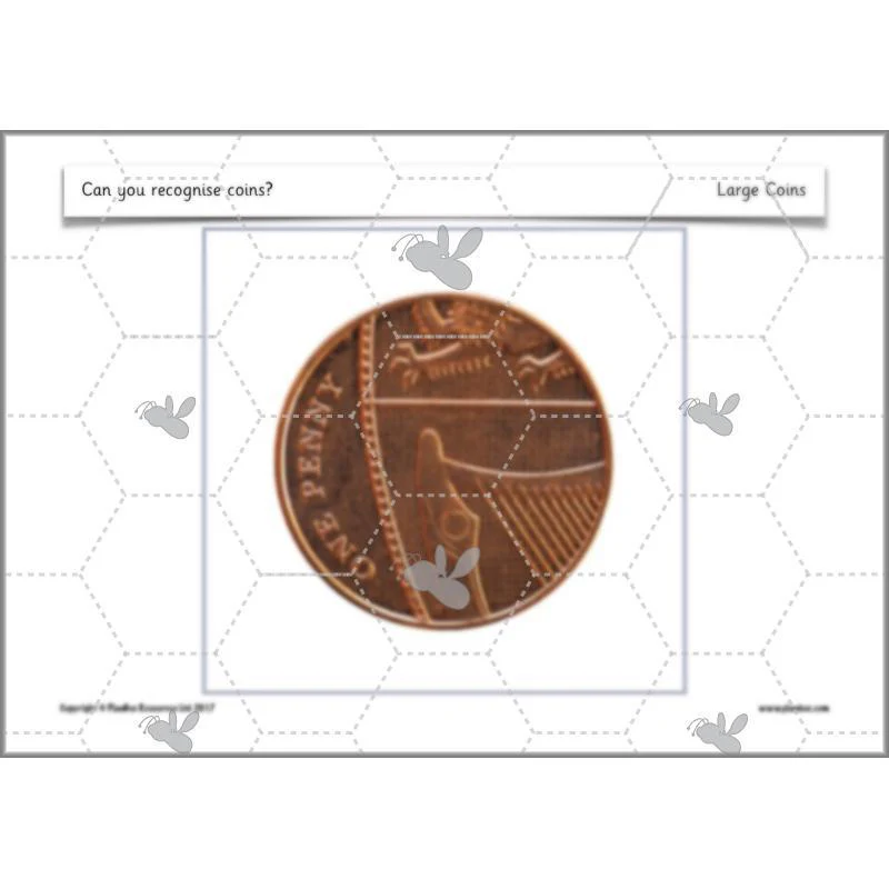 Can you recognise coins? - Image 15