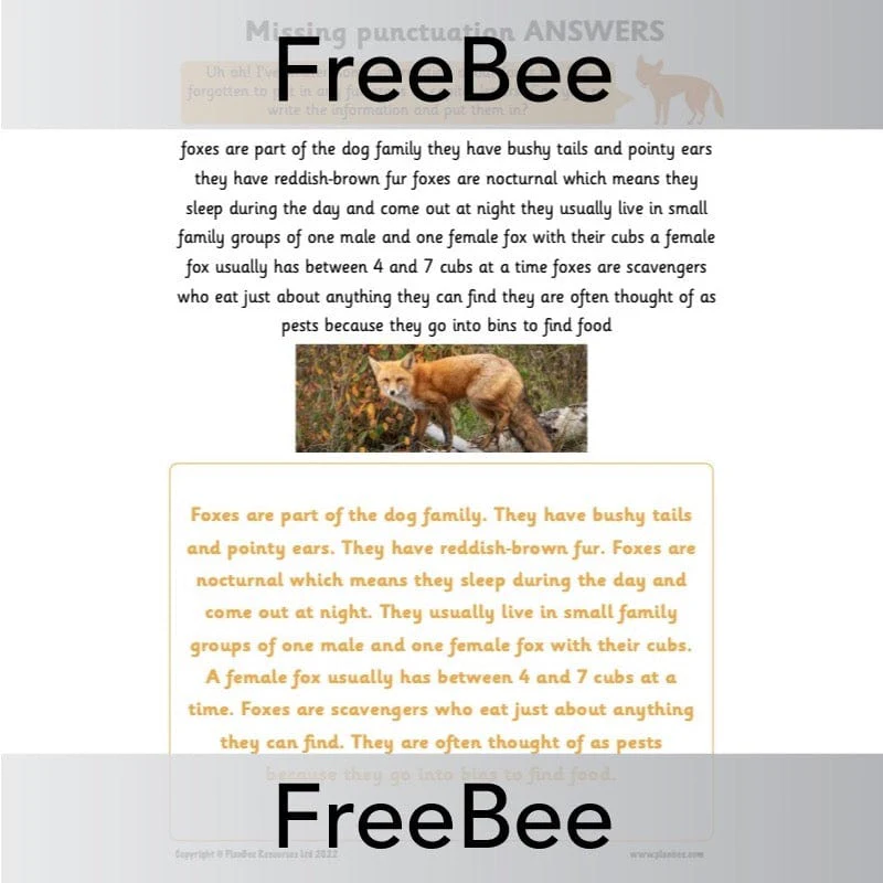 Capital Letters and Full Stops Worksheets - Image 10