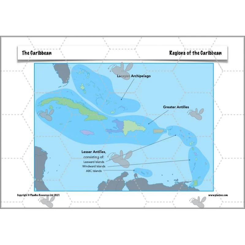 The Caribbean - Image 22