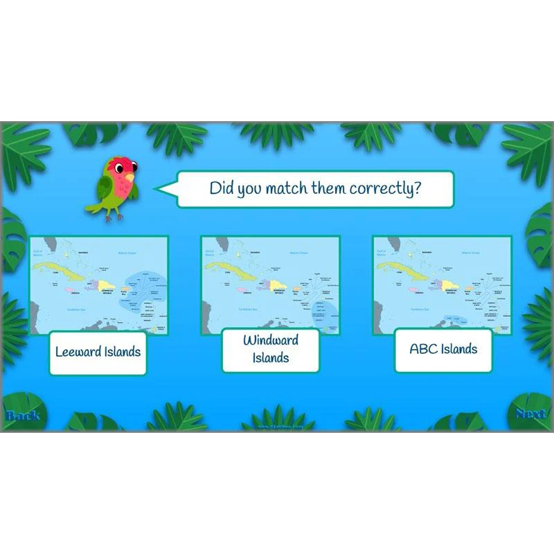 The Caribbean - Image 27