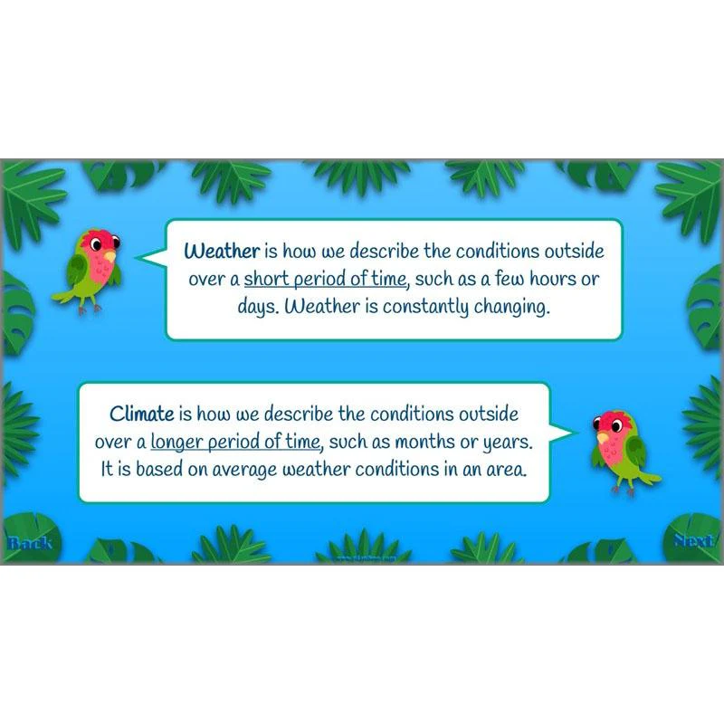 The Caribbean - Image 34