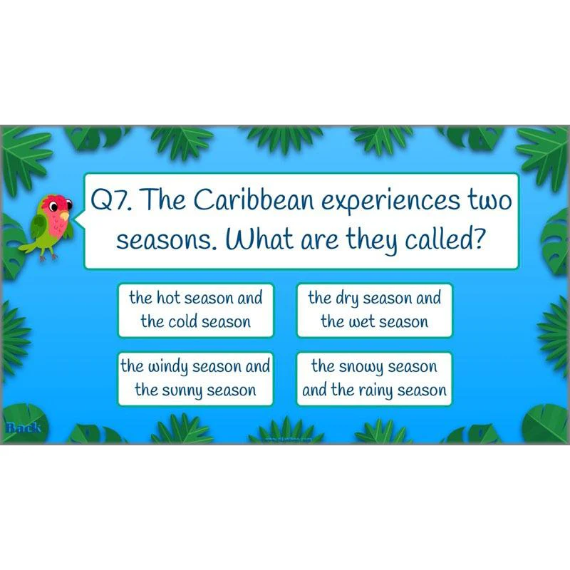 The Caribbean - Image 53