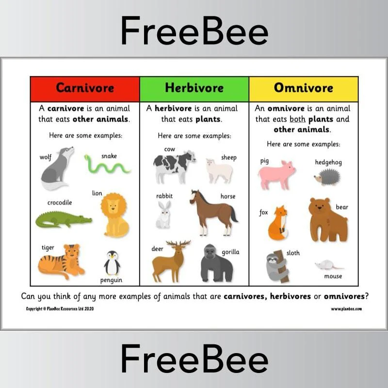 Carnivore, Herbivore, Omnivore KS1 Poster