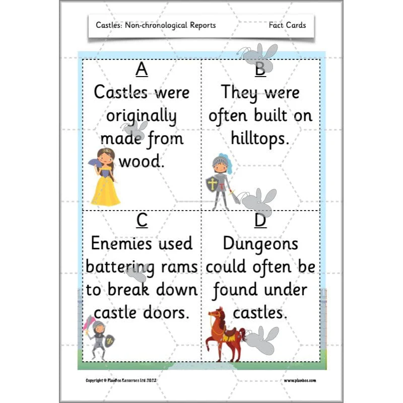 Castles: Non-chronological Reports - Image 56