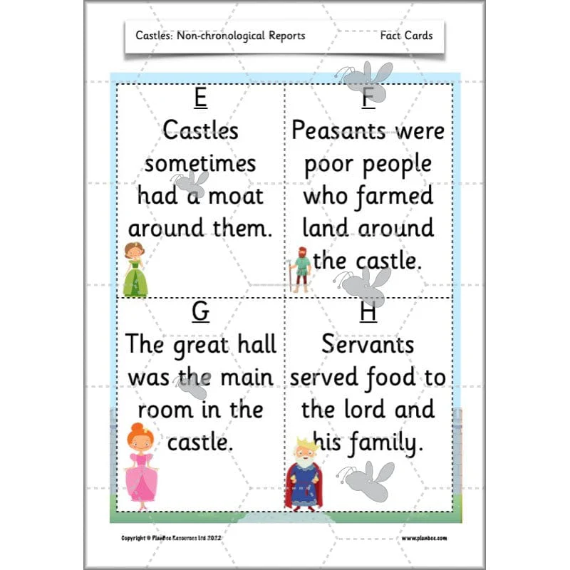 Castles: Non-chronological Reports - Image 57