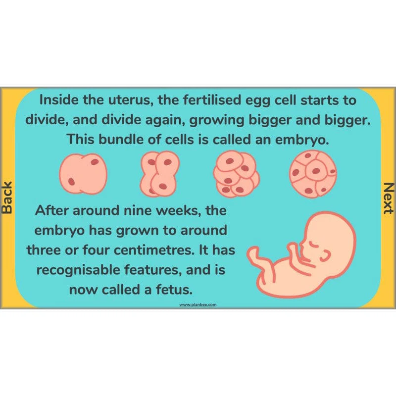 Changes and Reproduction - Image 30