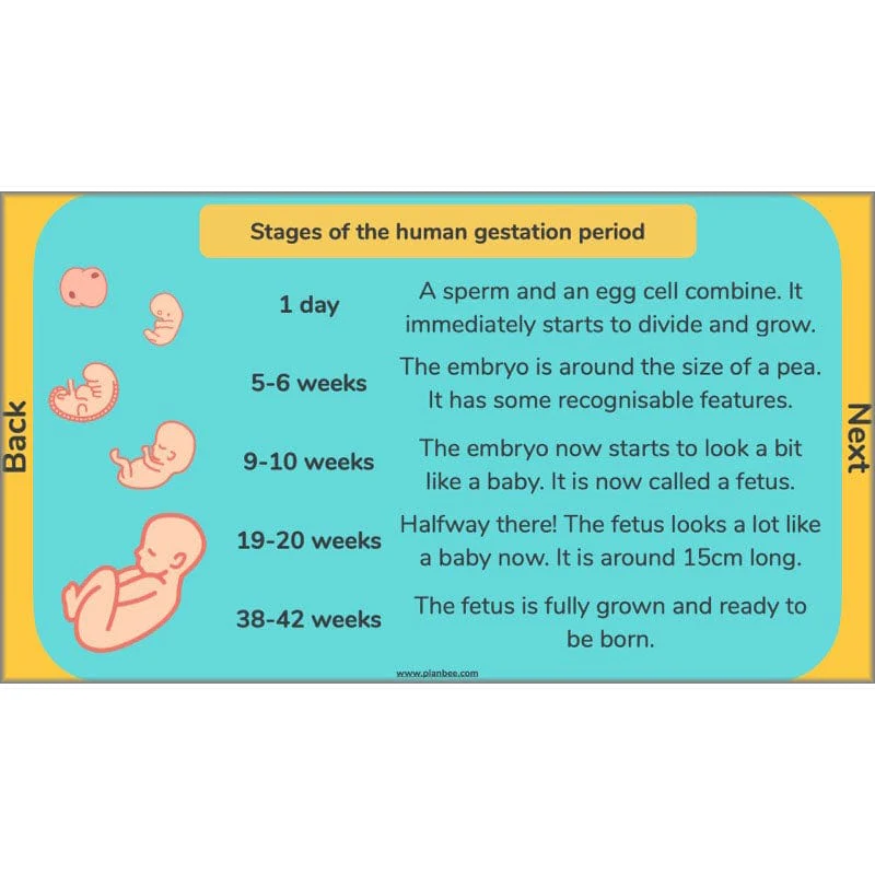 Changes and Reproduction - Image 31