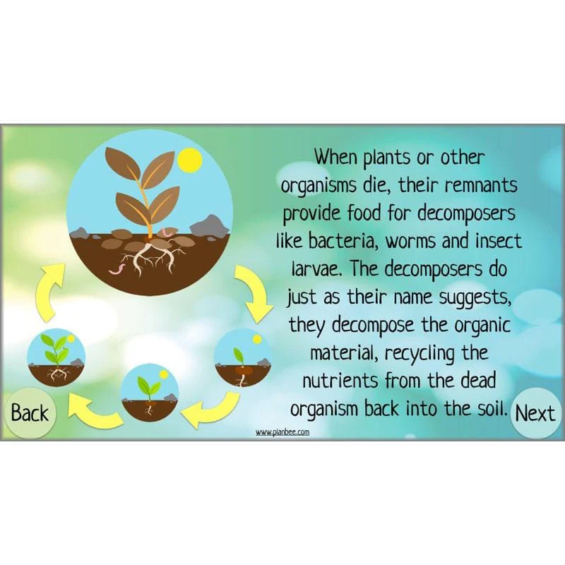Circular Economies - Image 18