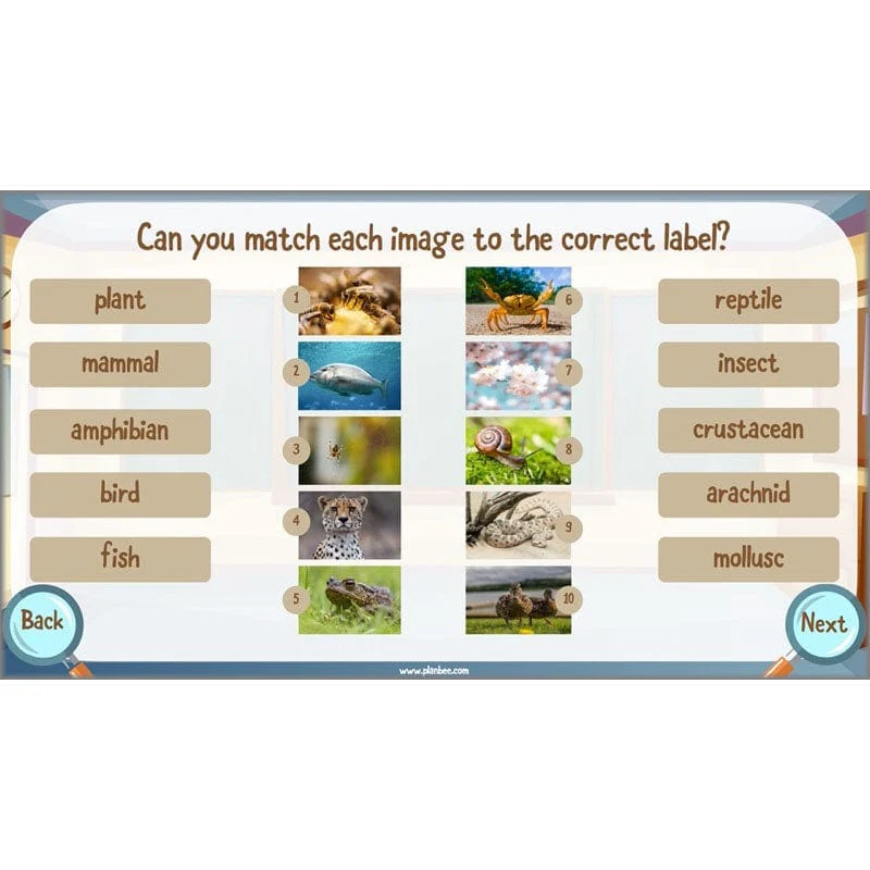 Classifying Organisms - Image 20
