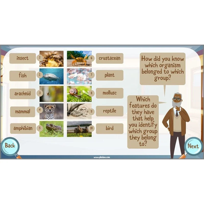 Classifying Organisms - Image 21