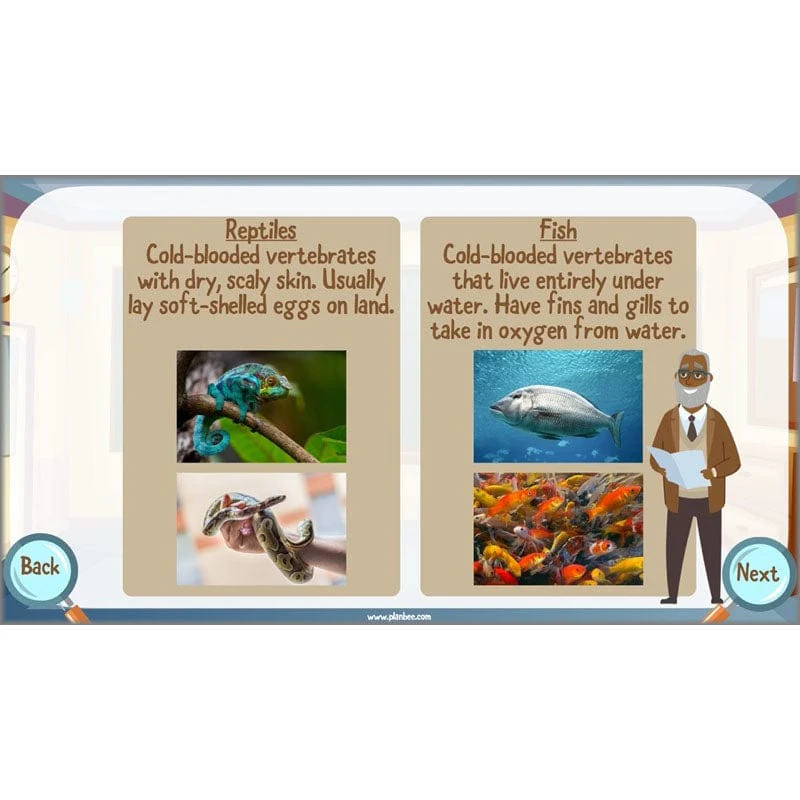 Classifying Organisms - Image 22