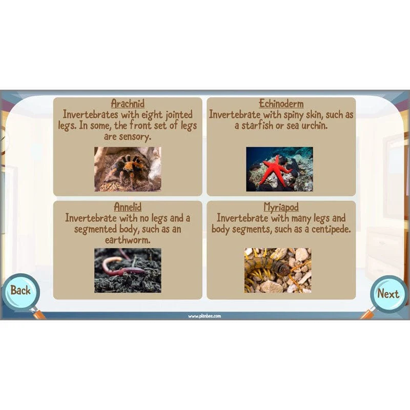 Classifying Organisms - Image 23