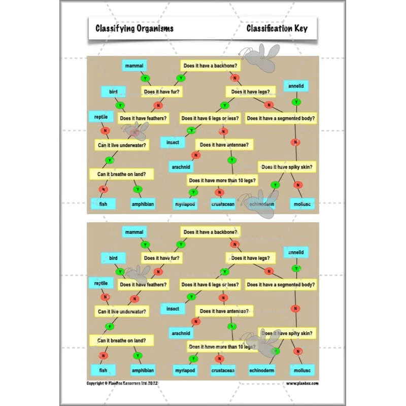 Classifying Organisms - Image 25