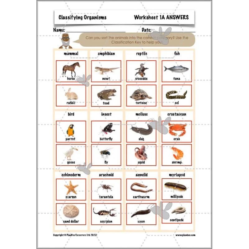Classifying Organisms - Image 26
