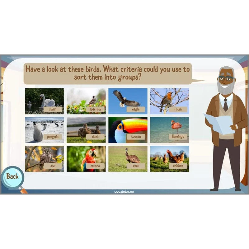 Classifying Organisms - Image 31