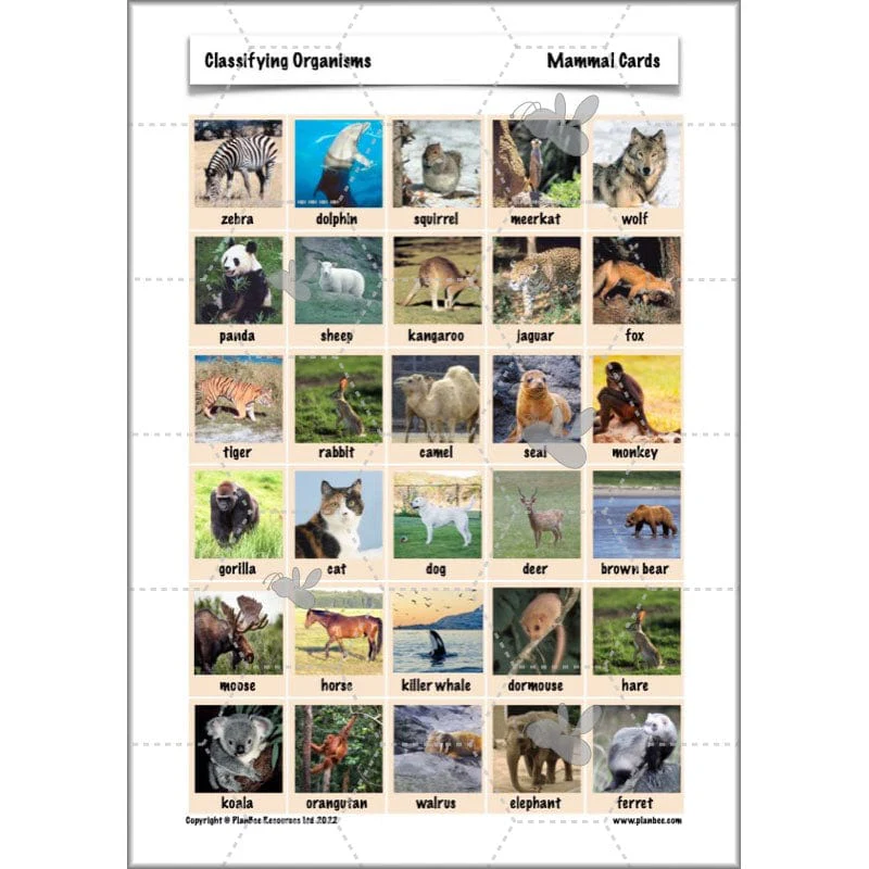 Classifying Organisms - Image 33
