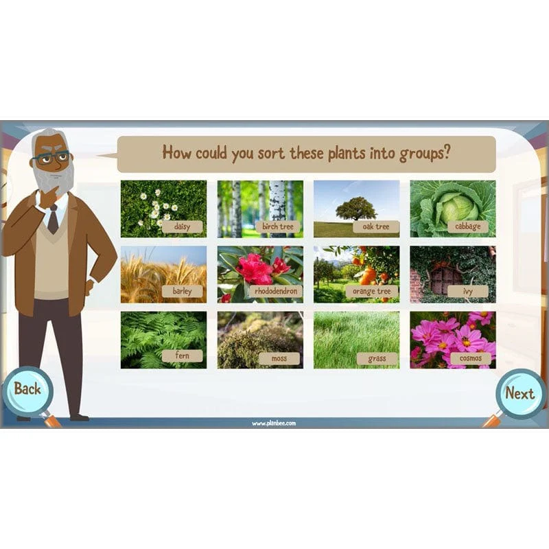 Classifying Organisms - Image 36