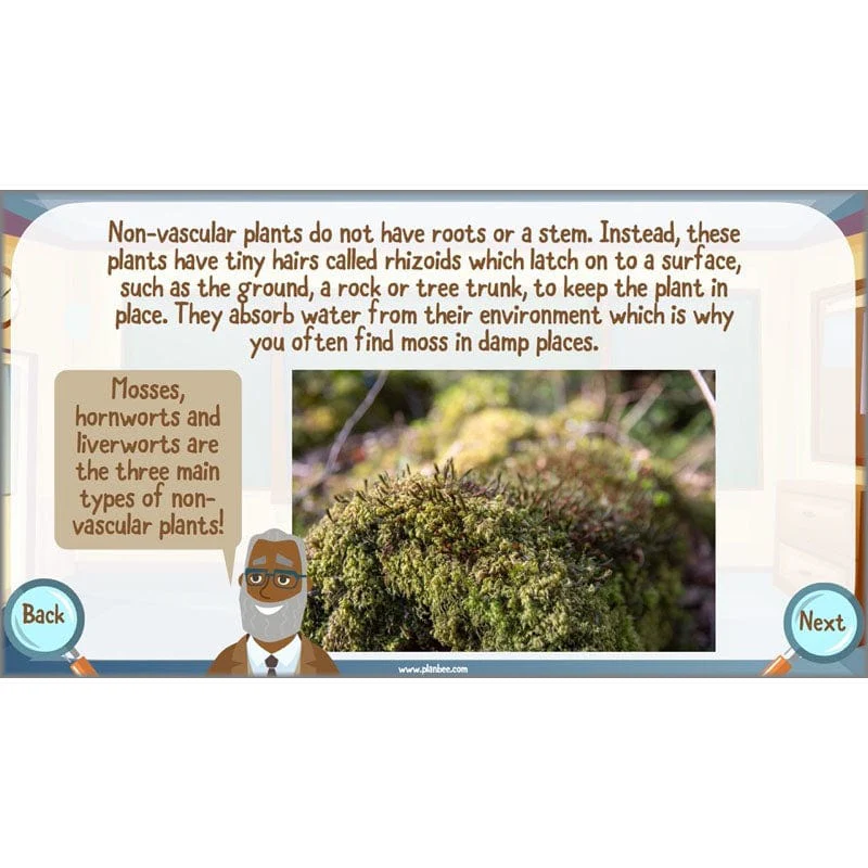 Classifying Organisms - Image 38