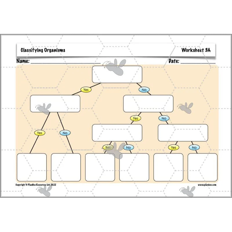 Classifying Organisms - Image 40