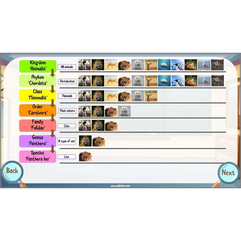 Classifying Organisms - Image 47