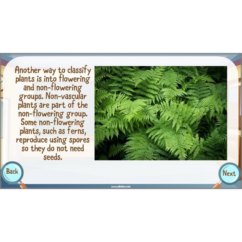 Classifying Organisms - Image 5