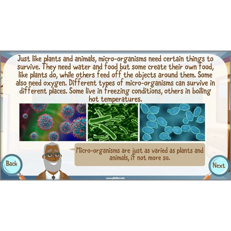 Classifying Organisms - Image 53