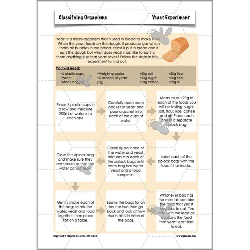Classifying Organisms - Image 58