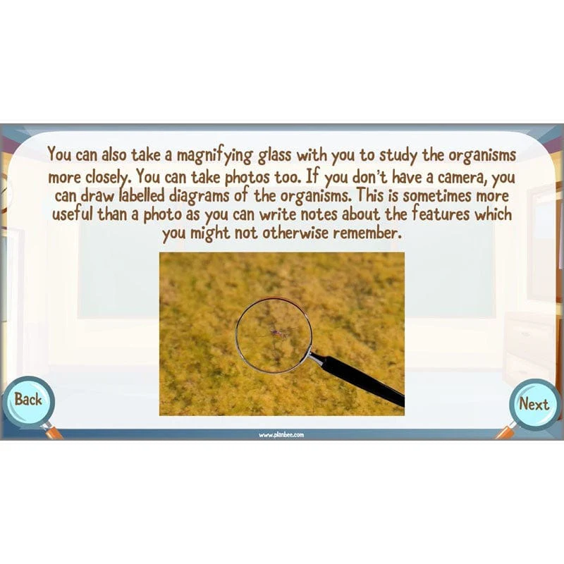 Classifying Organisms - Image 61