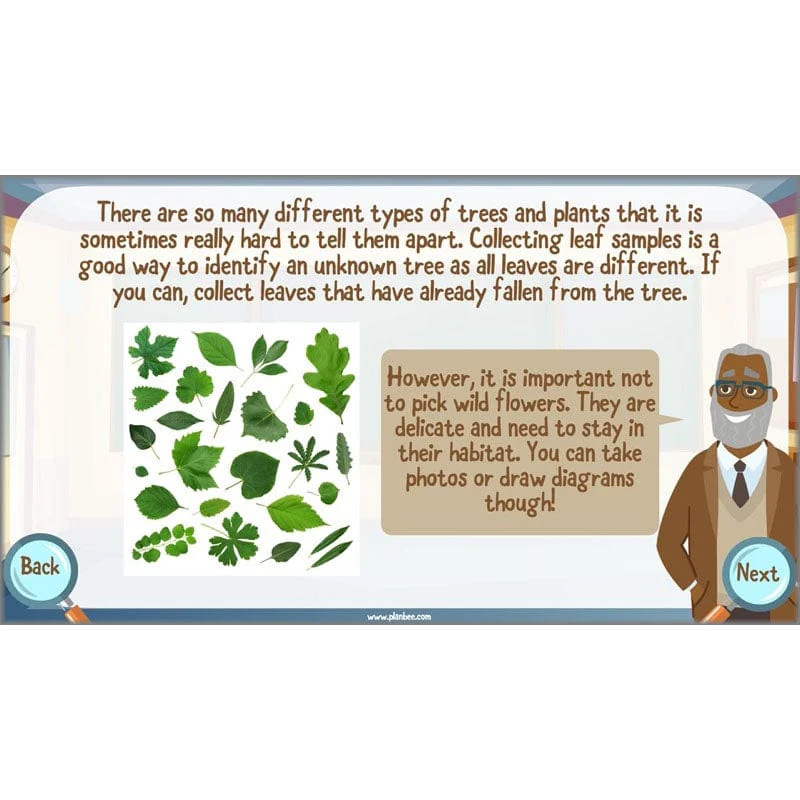 Classifying Organisms - Image 8