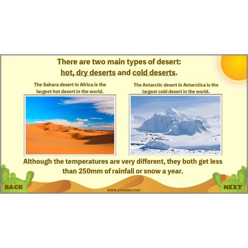 Desert Life - Image 4