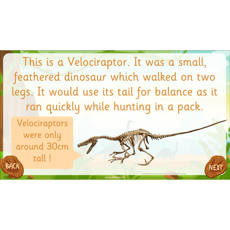 Dinosaurs KS1 Topic Enrichment Pack - Image 68