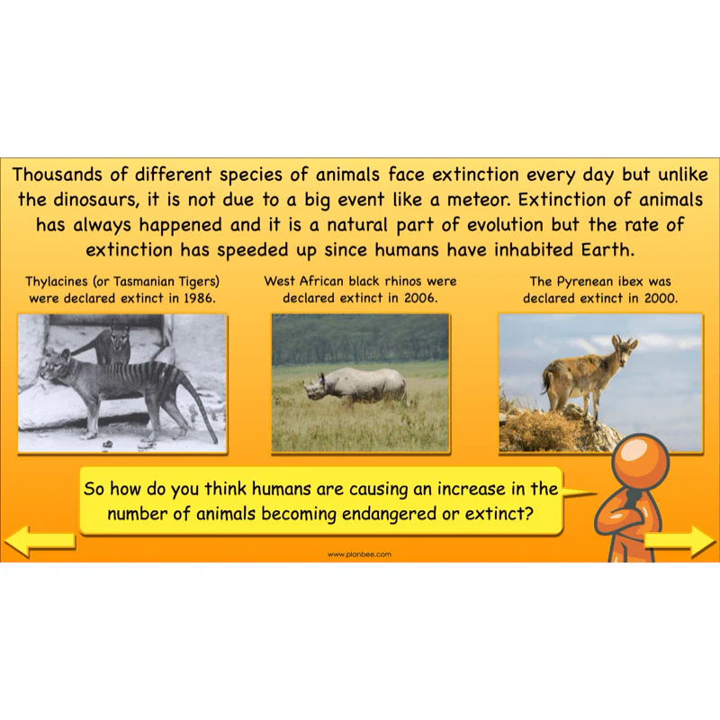 Dinosaurs KS2 Topic Enrichment Pack - Image 12