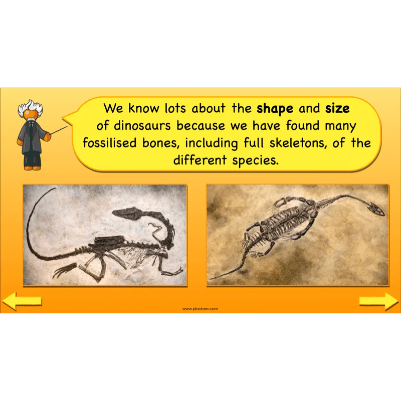 Dinosaurs KS2 Topic Enrichment Pack - Image 3