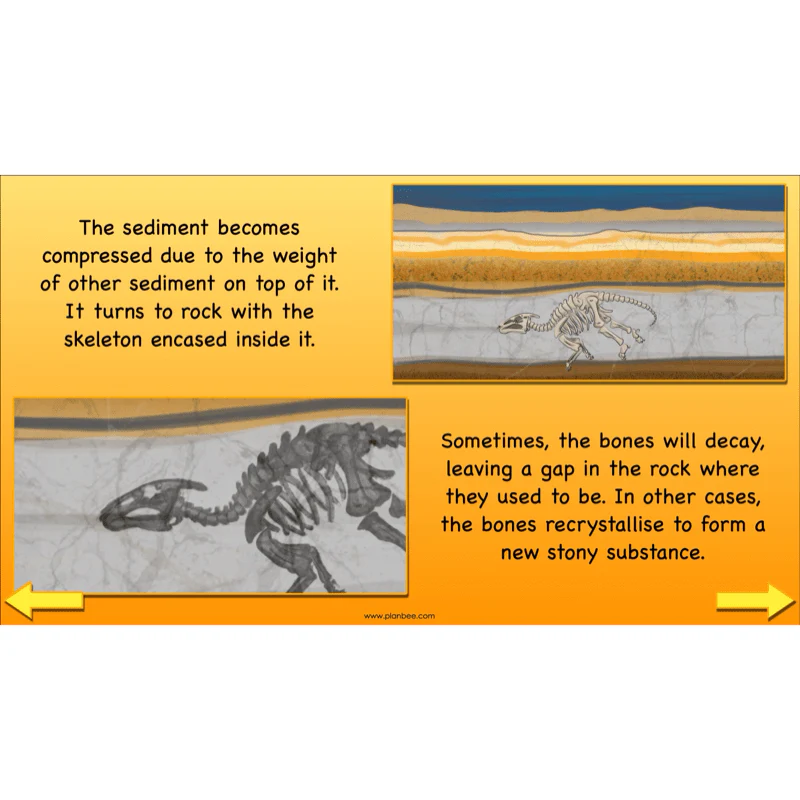 Dinosaurs KS2 Topic Enrichment Pack - Image 35