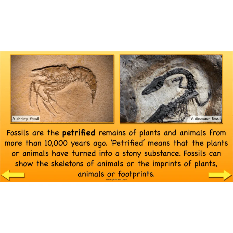 Dinosaurs KS2 Topic Enrichment Pack - Image 6