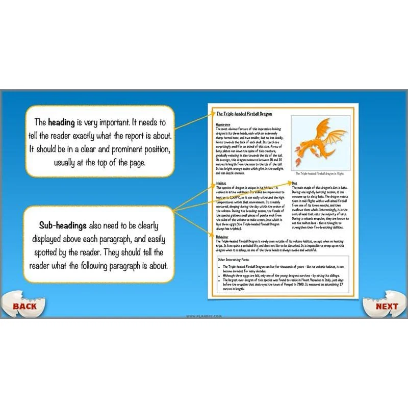 Dragons: Non-chronological Reports - Image 58