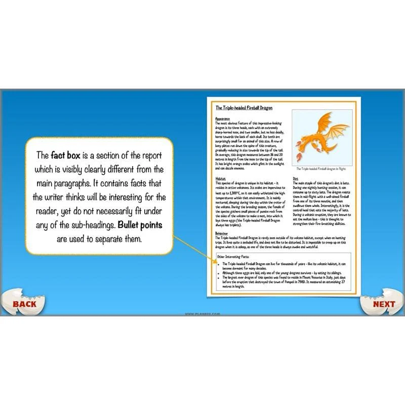 Dragons: Non-chronological Reports - Image 59