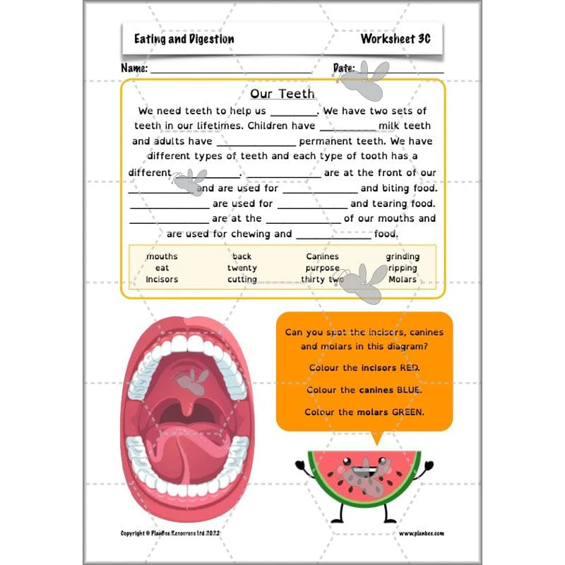 Eating and Digestion - Image 13