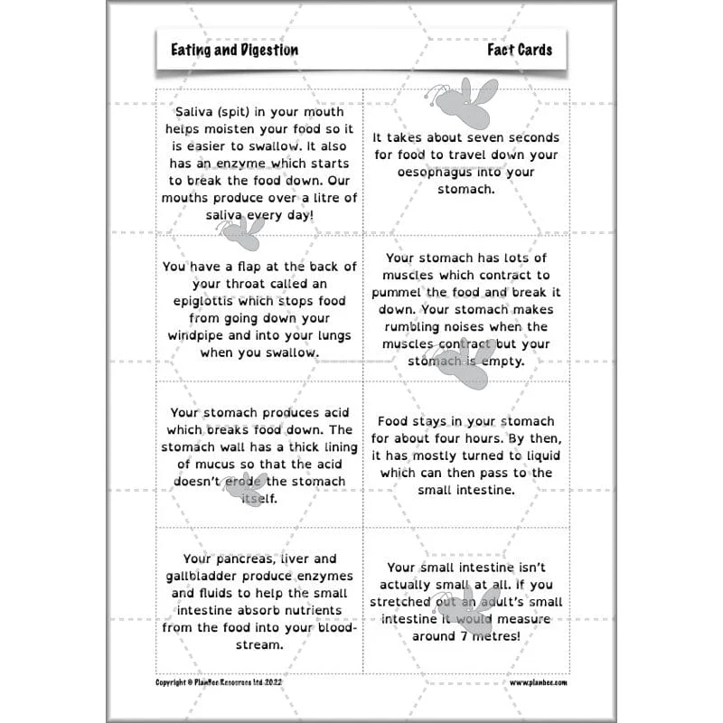 Eating and Digestion - Image 15
