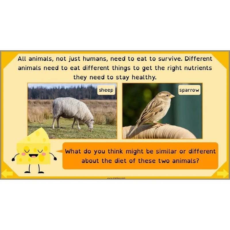Eating and Digestion - Image 22