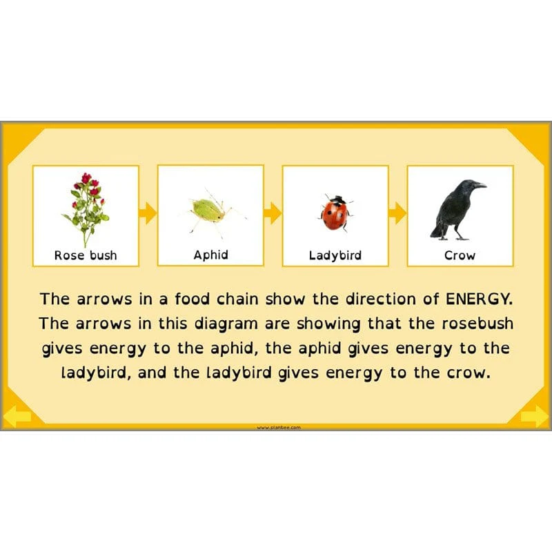 Eating and Digestion - Image 30