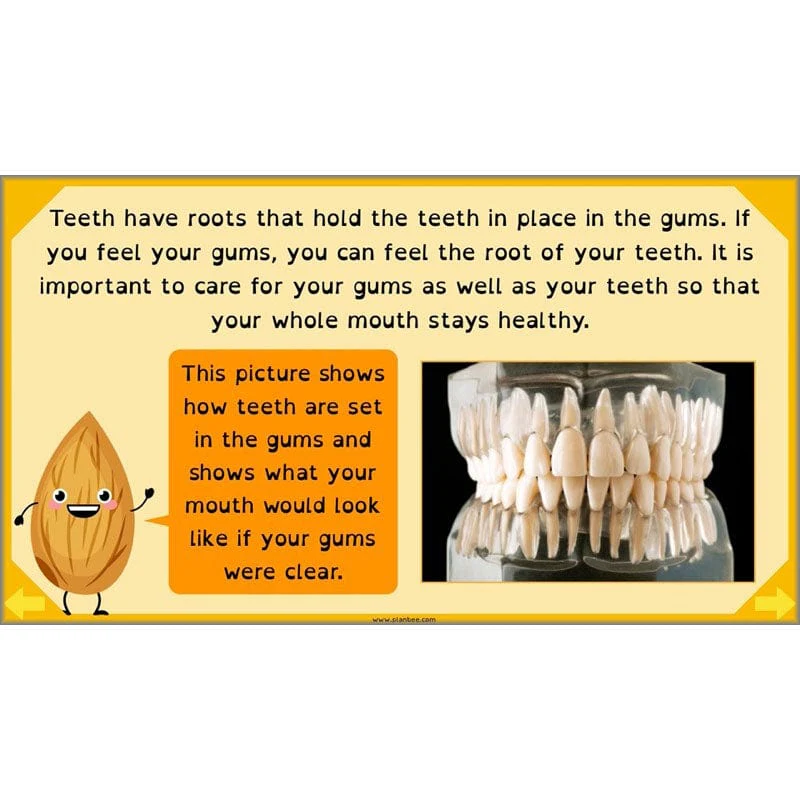 Eating and Digestion - Image 39
