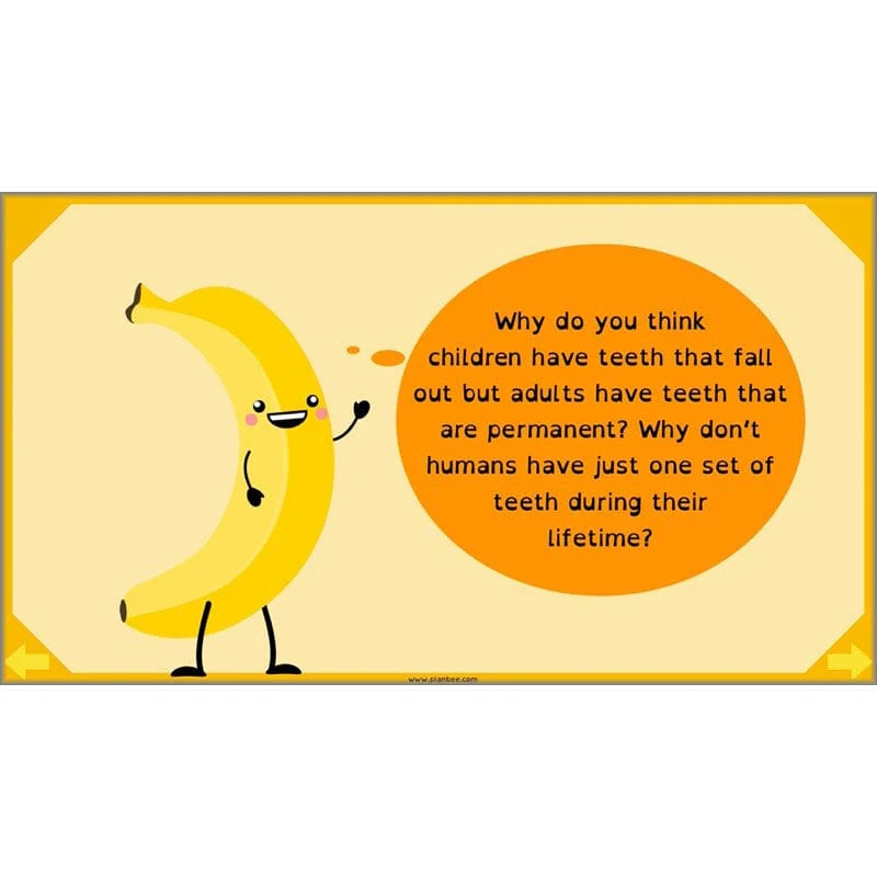 Eating and Digestion - Image 47