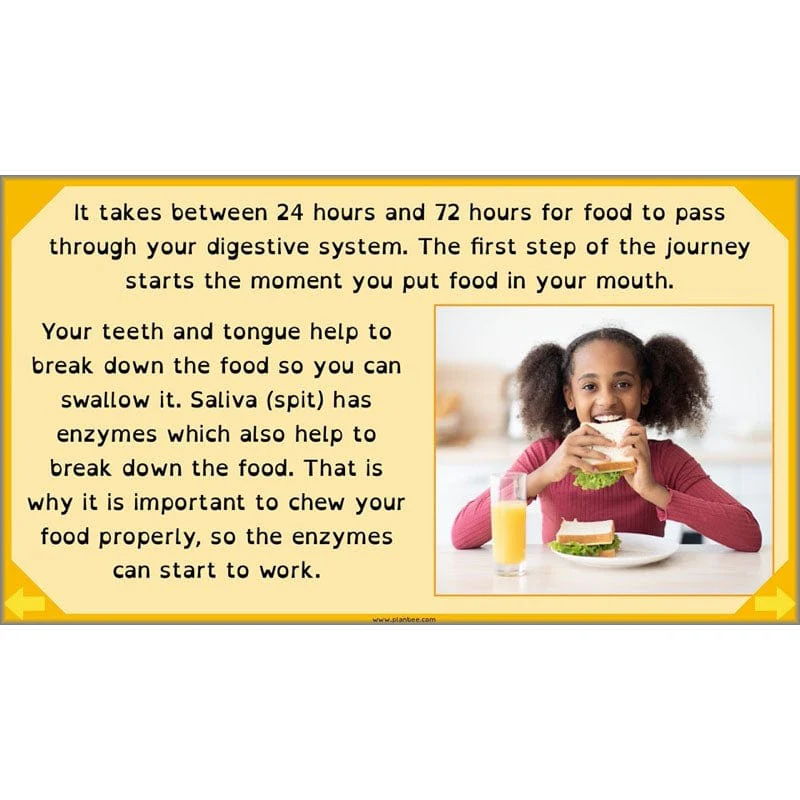 Eating and Digestion - Image 62