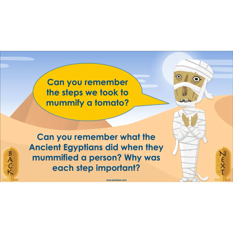 Explanation Texts: How to Mummify a Tomato - Image 41