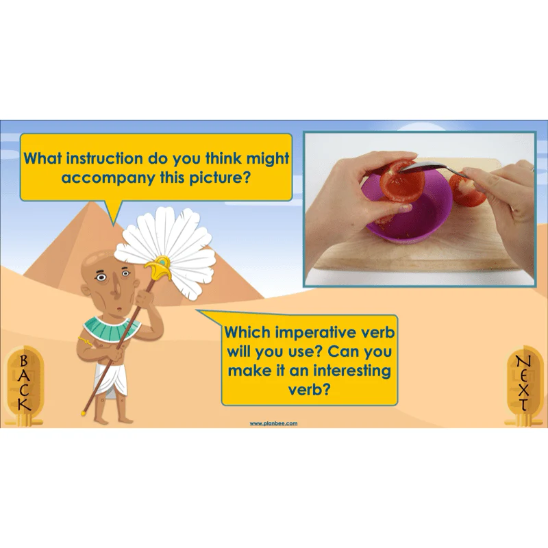 Explanation Texts: How to Mummify a Tomato - Image 6