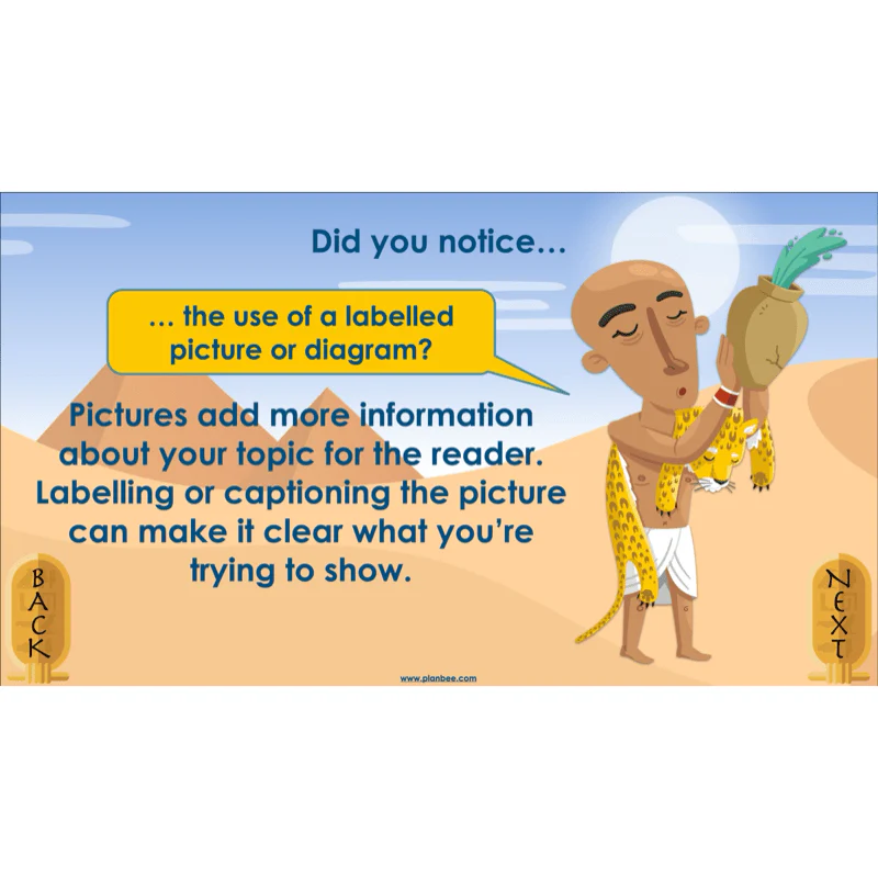 Explanation Texts: How to Mummify a Tomato - Image 8