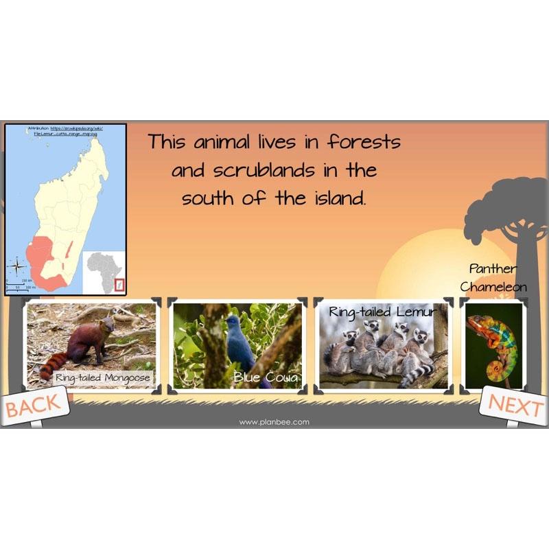 Exploring Madagascar - Image 4